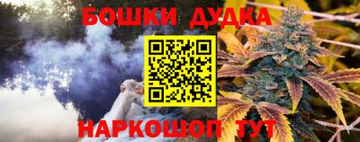 прущие грибы Краснодар