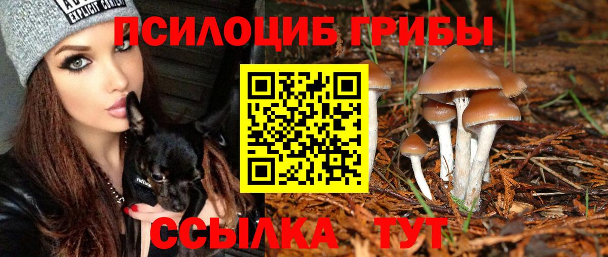 Псилоцибиновые грибы Magic Shrooms  Вход с VPN  Тулун  Псилоцибиновые грибы MAGIC MUSHROOMS 