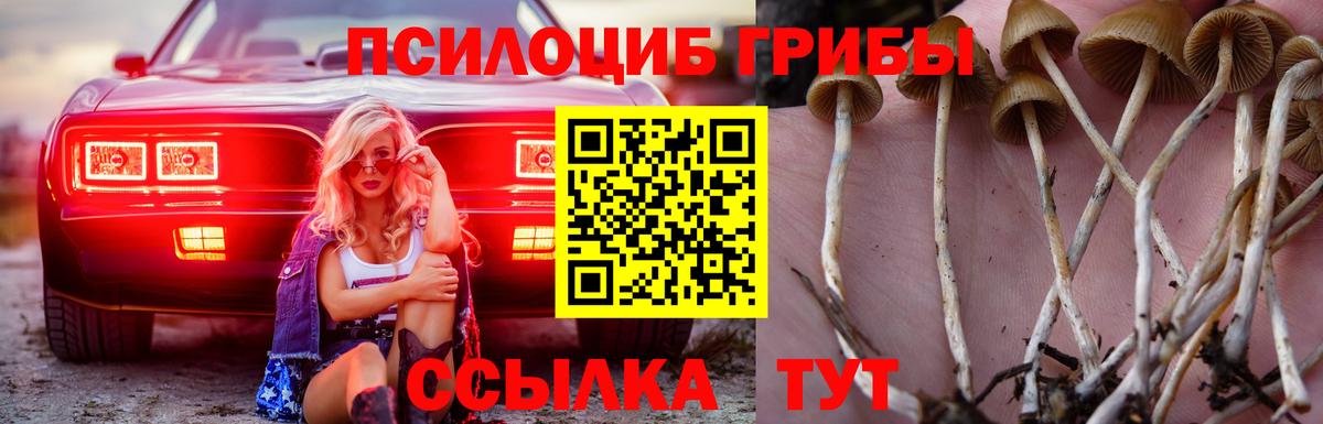 Галлюциногенные грибы Cubensis Тулун